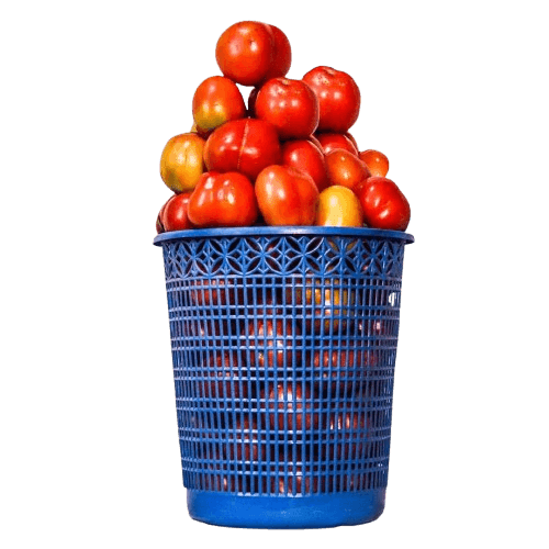 Fresh Tomato - Grade A