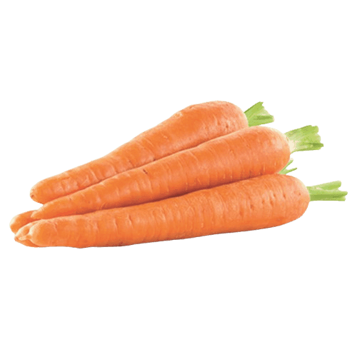 Carrot