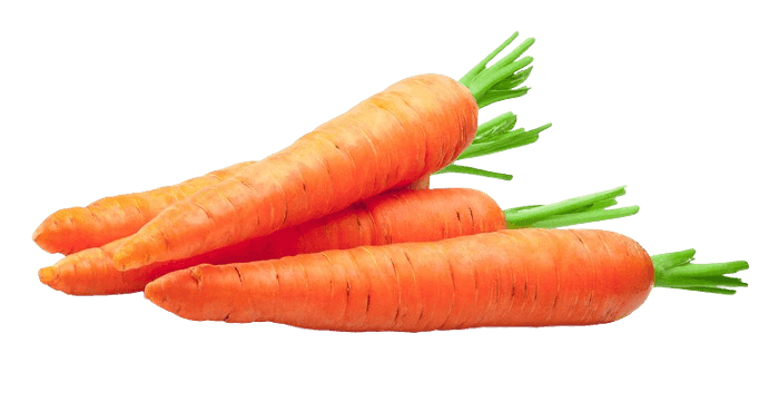 Carrot