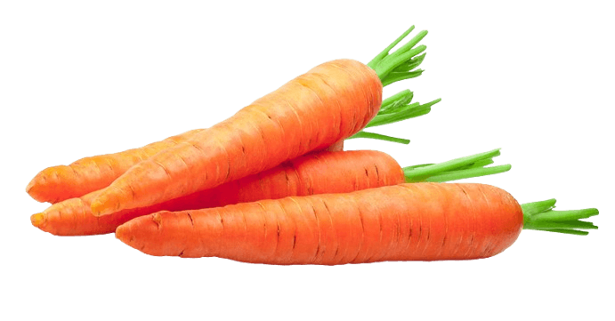 Carrot