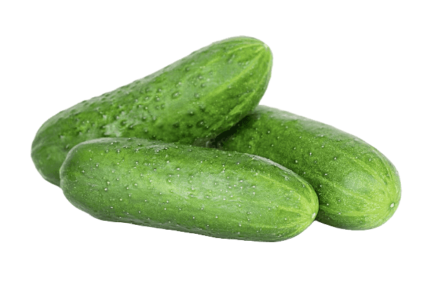 Cucumber