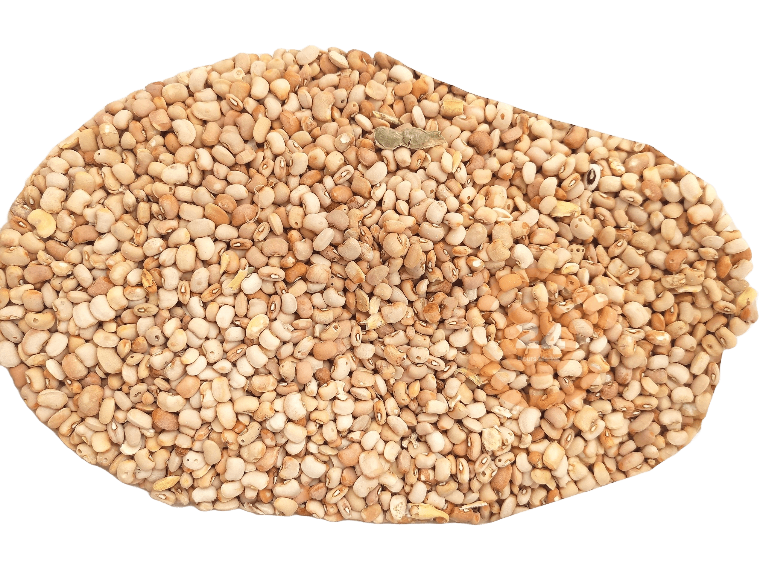 Beans - (Oloyin / Honey)