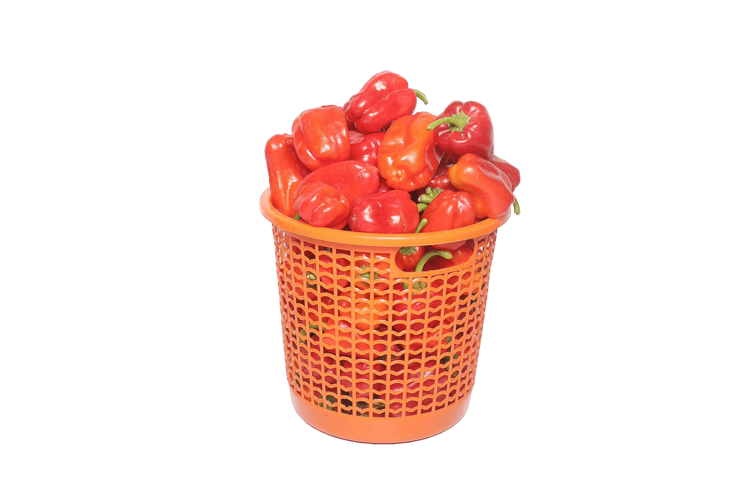 Pepper - Scotch Bonnet