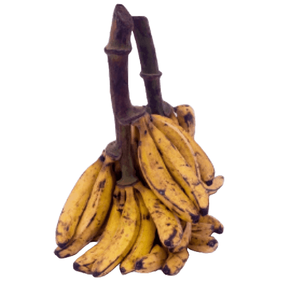 Plantain - Ripe