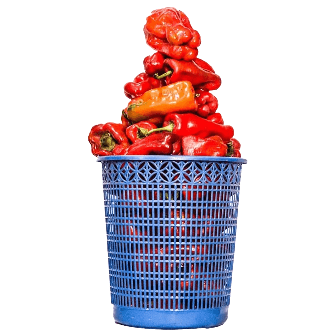 Tatashe (Red Bell Pepper)