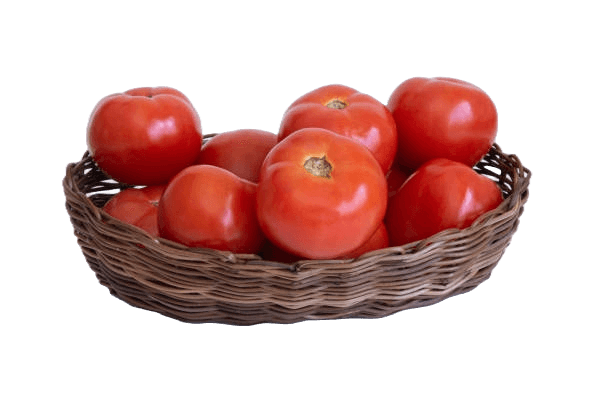 Bundle Product Image