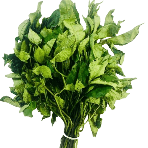 Ugwu Leaf