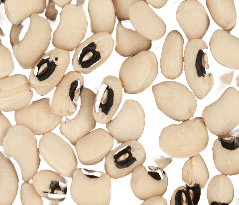 Beans (White)